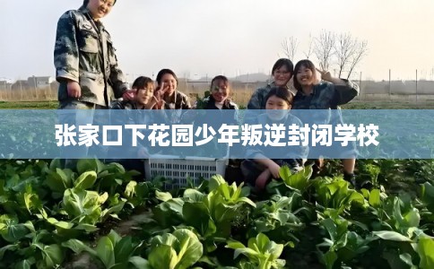 张家口下花园少年叛逆封闭学校 张家口下花园少年叛逆封闭学校