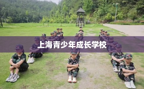 上海青少年成长学校 上海青少年成长学校