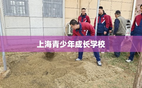 上海青少年成长学校 上海青少年成长学校