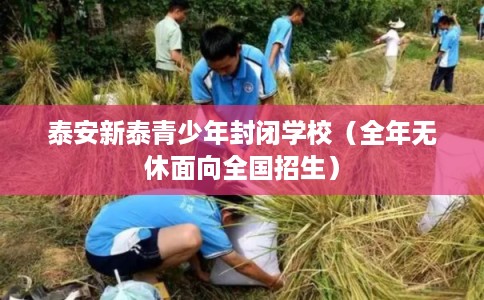 泰安新泰青少年封闭学校(全年无休面向全国招生) 泰安新泰青少年封闭学校(全年无休面向全国招生)