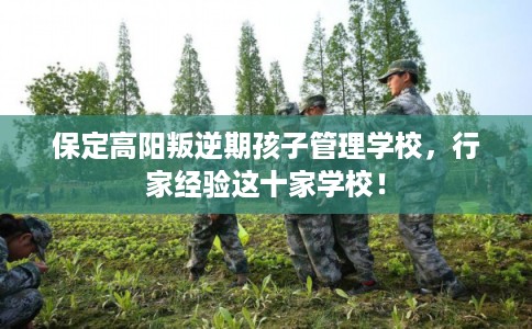 保定高阳叛逆期孩子管理学校，行家经验这十家学校！