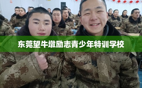 东莞望牛墩励志青少年特训学校