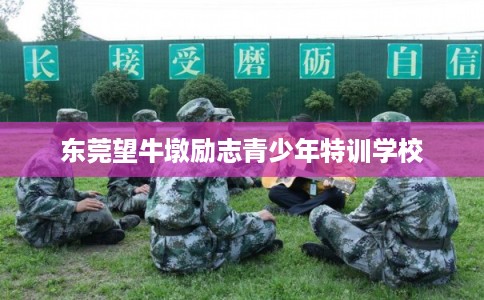 东莞望牛墩励志青少年特训学校