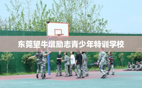东莞望牛墩励志青少年特训学校