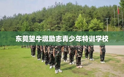 东莞望牛墩励志青少年特训学校