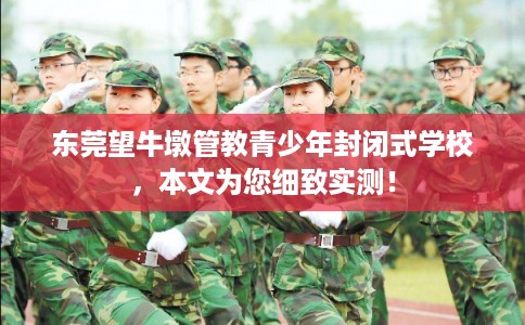 东莞望牛墩管教青少年封闭式学校，本文为您细致实测！