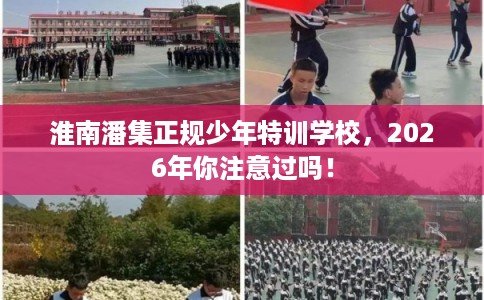 淮南潘集正规少年特训学校,2026年你注意过吗! 淮南潘集正规少年特训学校,2026年你注意过吗!