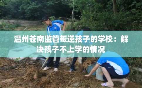 温州苍南监管叛逆孩子的学校：解决孩子不上学的情况