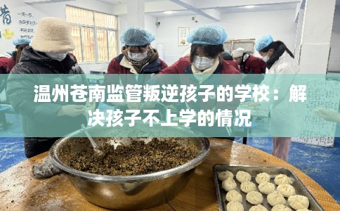 温州苍南监管叛逆孩子的学校：解决孩子不上学的情况