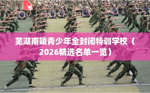 芜湖南陵青少年全封闭特训学校（2026精选名单一览）