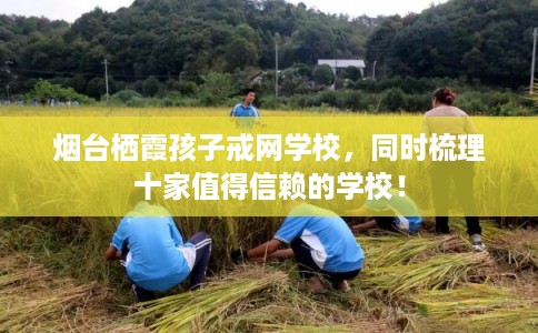 烟台栖霞孩子戒网学校,同时梳理十家值得信赖的学校! 烟台栖霞孩子戒网学校,同时梳理十家值得信赖的学校!