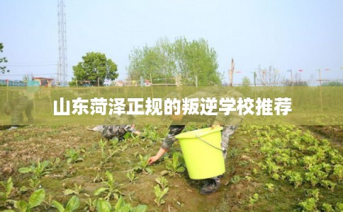 山东菏泽正规的叛逆学校推荐 山东菏泽正规的叛逆学校推荐