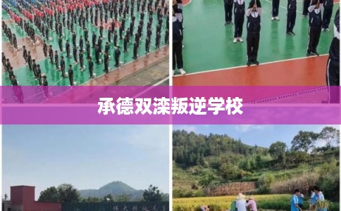 承德双滦叛逆学校 承德双滦叛逆学校