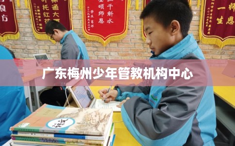 广东梅州少年管教机构中心 广东梅州少年管教机构中心