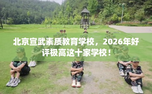 北京宣武素质教育学校，2026年好评极高这十家学校！