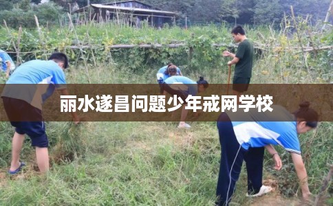 丽水遂昌问题少年戒网学校