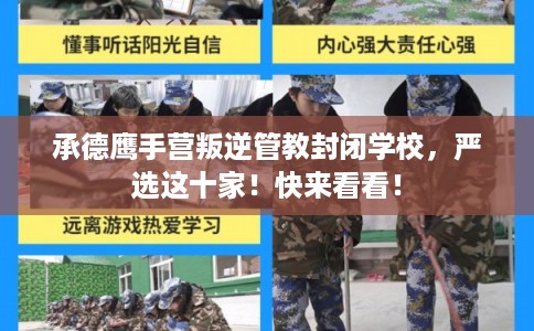 承德鹰手营叛逆管教封闭学校,严选这十家!快来看看! 承德鹰手营叛逆管教封闭学校,严选这十家!快来看看!