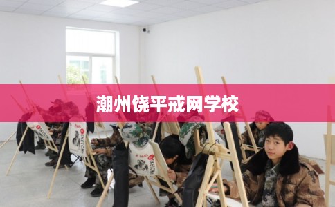 潮州饶平戒网学校