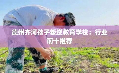 德州齐河孩子叛逆教育学校：行业前十推荐