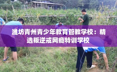 潍坊青州青少年教育管教学校：精选叛逆戒网瘾特训学校