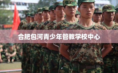 合肥包河青少年管教学校中心