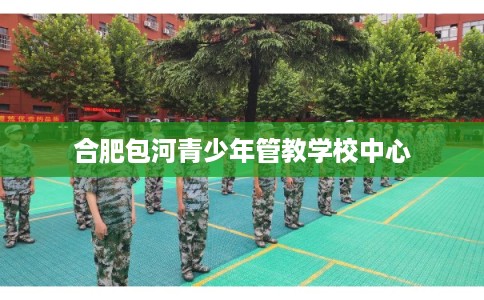合肥包河青少年管教学校中心