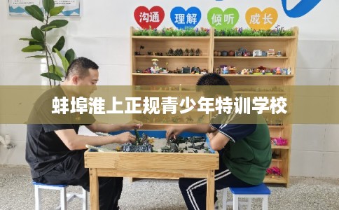 蚌埠淮上正规青少年特训学校