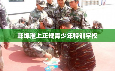 蚌埠淮上正规青少年特训学校