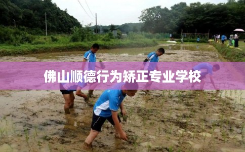 佛山顺德行为矫正专业学校
