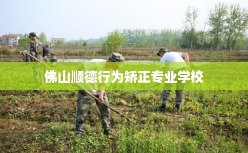 佛山顺德行为矫正专业学校