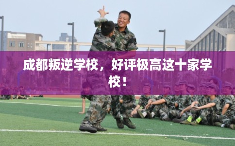 成都叛逆学校，好评极高这十家学校！