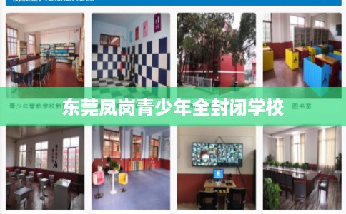 东莞凤岗青少年全封闭学校 东莞凤岗青少年全封闭学校