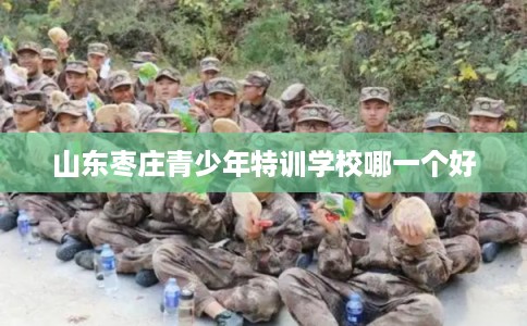 山东枣庄青少年特训学校哪一个好 山东枣庄青少年特训学校哪一个好