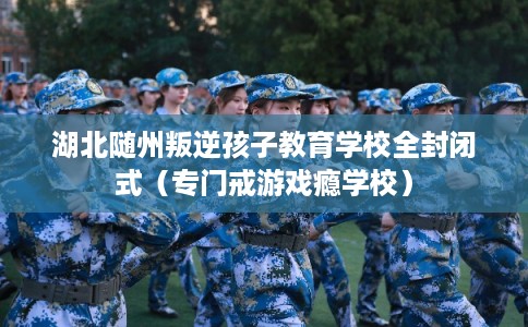 湖北随州叛逆孩子教育学校全封闭式(专门戒游戏瘾学校) 湖北随州叛逆孩子教育学校全封闭式(专门戒游戏瘾学校)