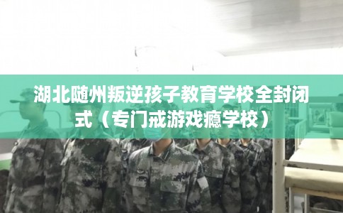 湖北随州叛逆孩子教育学校全封闭式(专门戒游戏瘾学校) 湖北随州叛逆孩子教育学校全封闭式(专门戒游戏瘾学校)