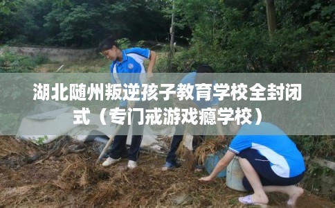 湖北随州叛逆孩子教育学校全封闭式(专门戒游戏瘾学校) 湖北随州叛逆孩子教育学校全封闭式(专门戒游戏瘾学校)