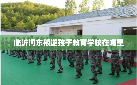 临沂河东叛逆孩子教育学校在哪里 临沂河东叛逆孩子教育学校在哪里