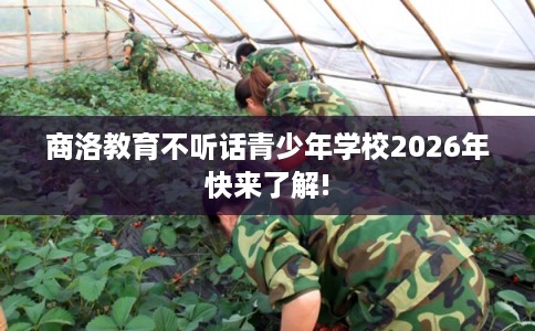 商洛教育不听话青少年学校2026年快来了解!