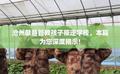 沧州献县管教孩子叛逆学校，本篇为您深度揭示!