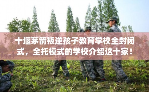 十堰茅箭叛逆孩子教育学校全封闭式，全托模式的学校介绍这十家！