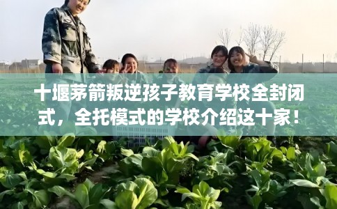 十堰茅箭叛逆孩子教育学校全封闭式，全托模式的学校介绍这十家！