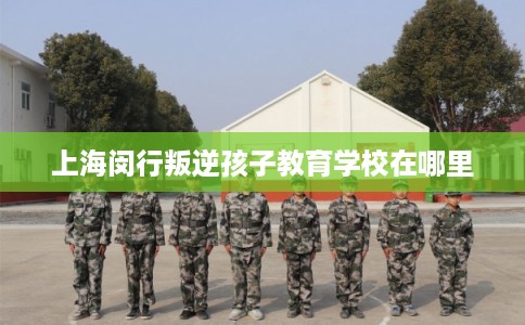 上海闵行叛逆孩子教育学校在哪里