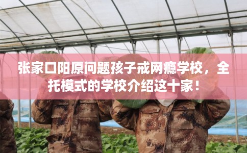 张家口阳原问题孩子戒网瘾学校，全托模式的学校介绍这十家！