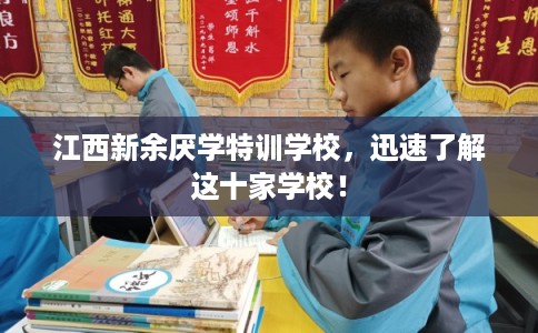 江西新余厌学特训学校，迅速了解这十家学校！