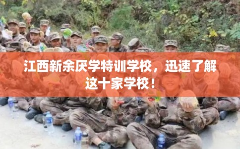江西新余厌学特训学校，迅速了解这十家学校！