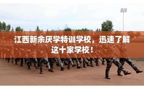 江西新余厌学特训学校，迅速了解这十家学校！