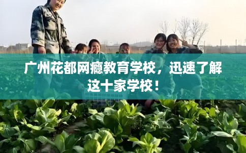 广州花都网瘾教育学校,迅速了解这十家学校! 广州花都网瘾教育学校,迅速了解这十家学校!