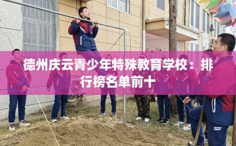 德州庆云青少年特殊教育学校:排行榜名单前十 德州庆云青少年特殊教育学校:排行榜名单前十