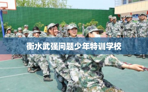 衡水武强问题少年特训学校