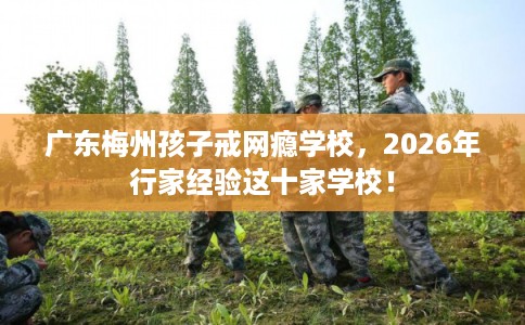 广东梅州孩子戒网瘾学校，2026年行家经验这十家学校！